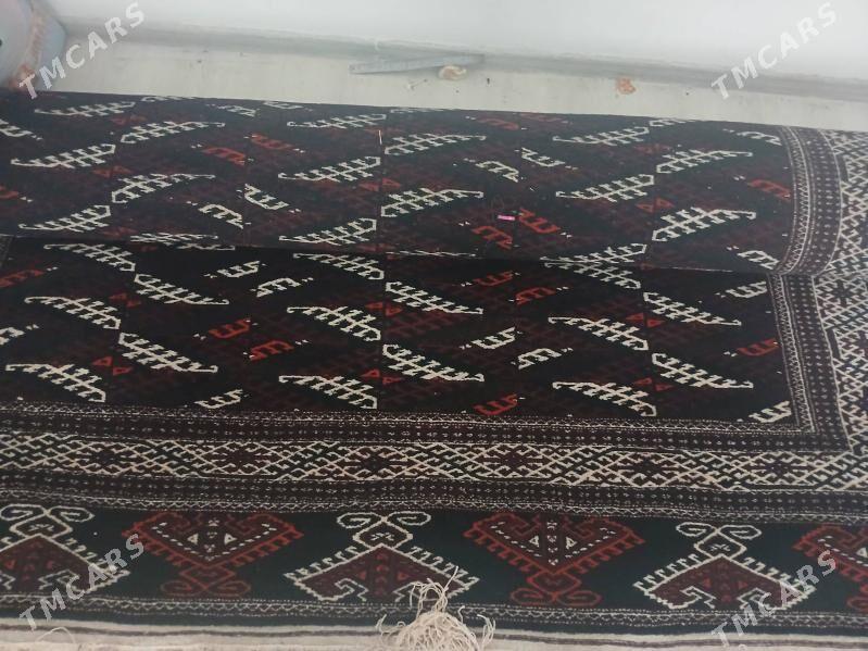 gara haly - Берекет - img 1