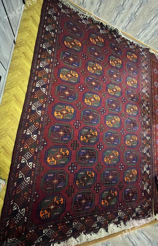 туркмен эл халы - Туркменабат - img 2