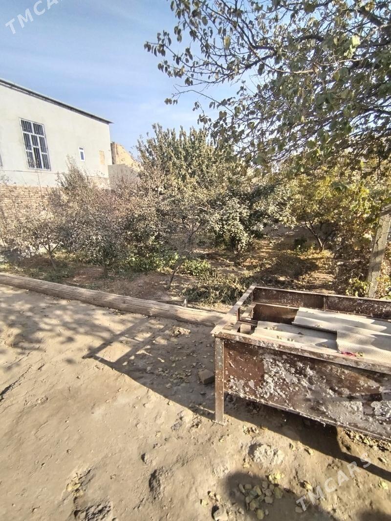 Satlyk howly jay - Туркменабат - img 2