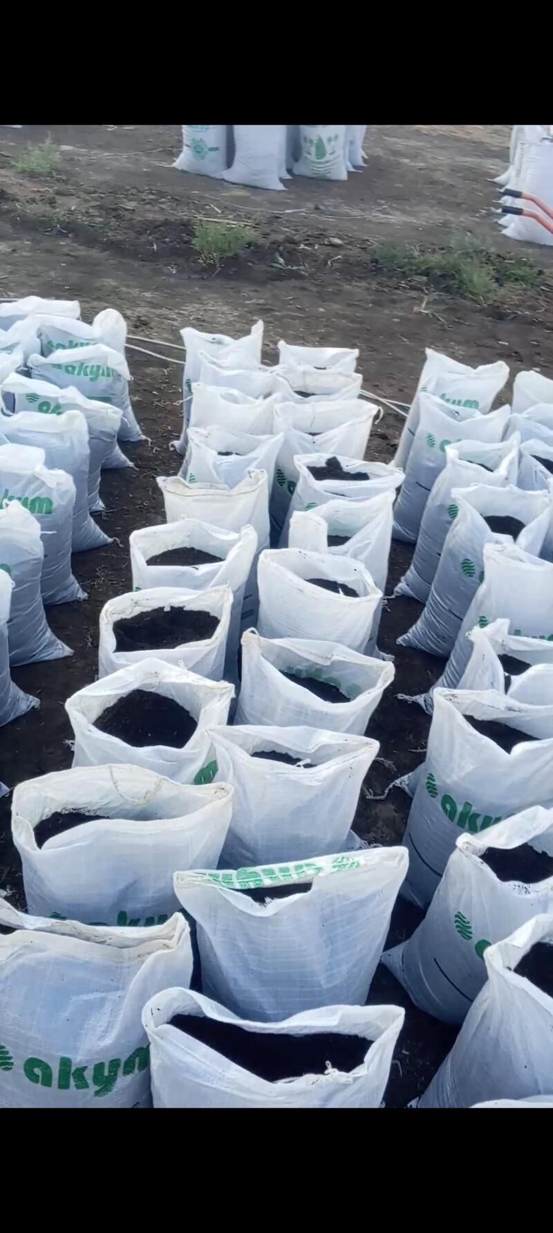 Biogumus - Balkanabat - img 6