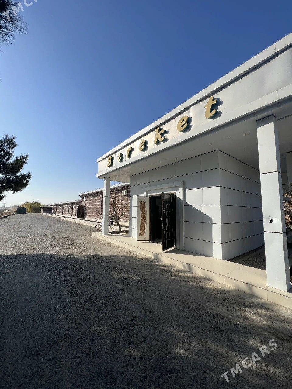 arenda kafe - Туркменабат - img 7