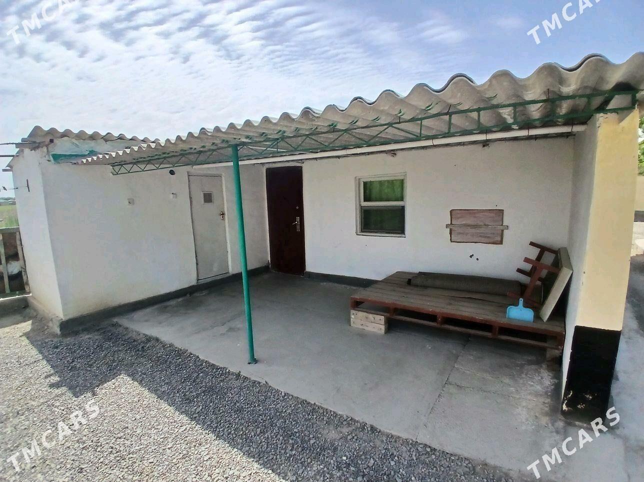 kreyine jay - Gökdepe - img 3