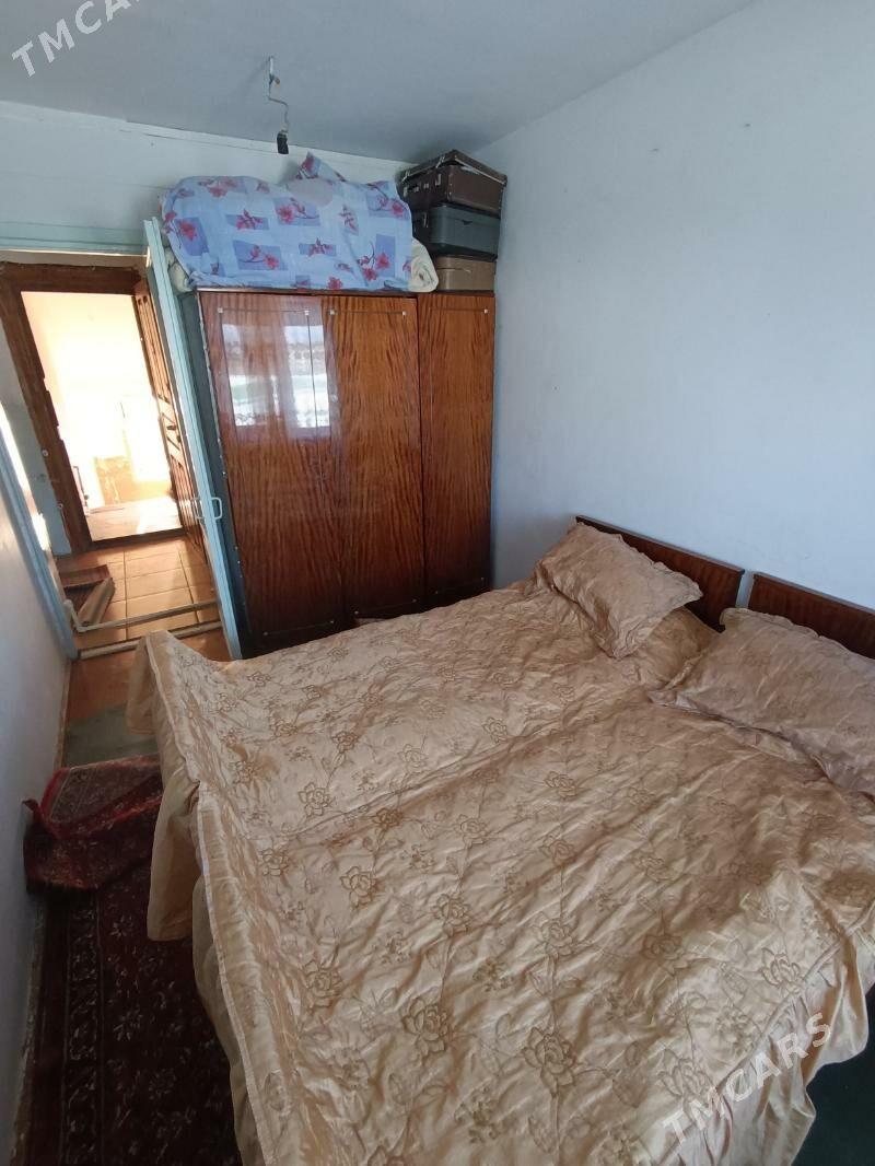 Satlyk jay - Мары - img 2