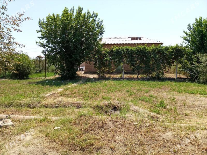 Дача Карамянск 3 Комнатный - Türkmenabat - img 5