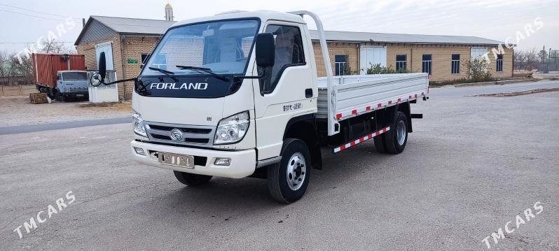 Forland H3 2014 - 117 000 TMT - Mary - img 2