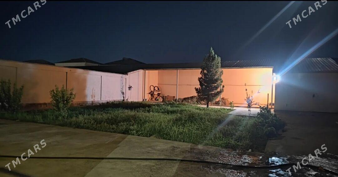   KATEZH  - Туркменабат - img 4