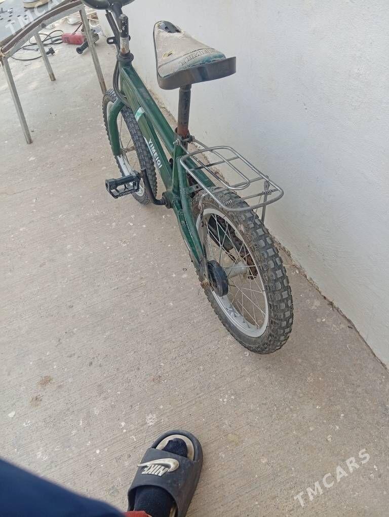 tigir - Täze zaman - img 4