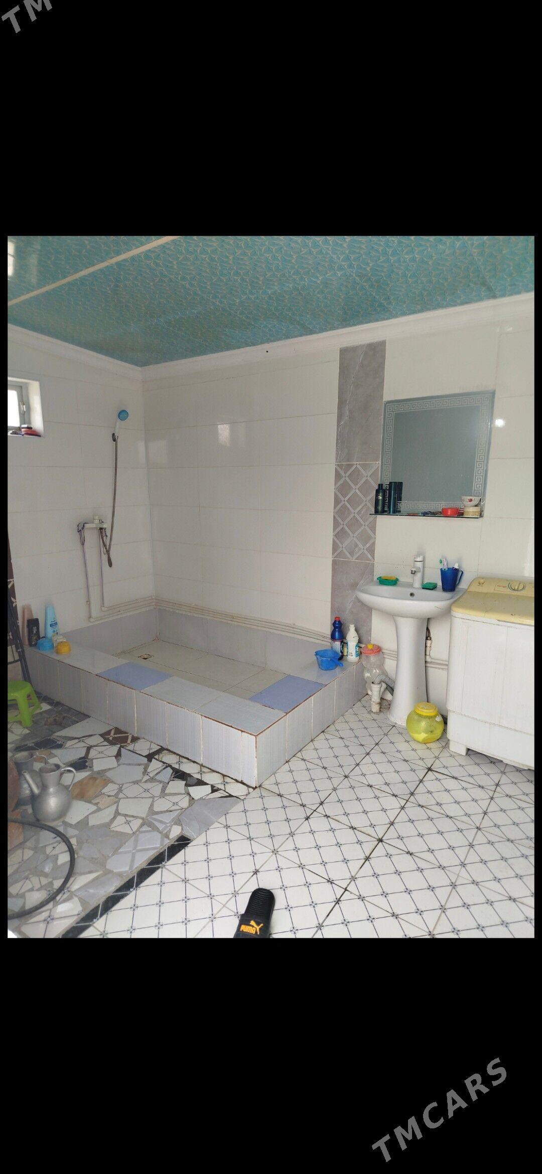 plan jay howly - Bäherden - img 2