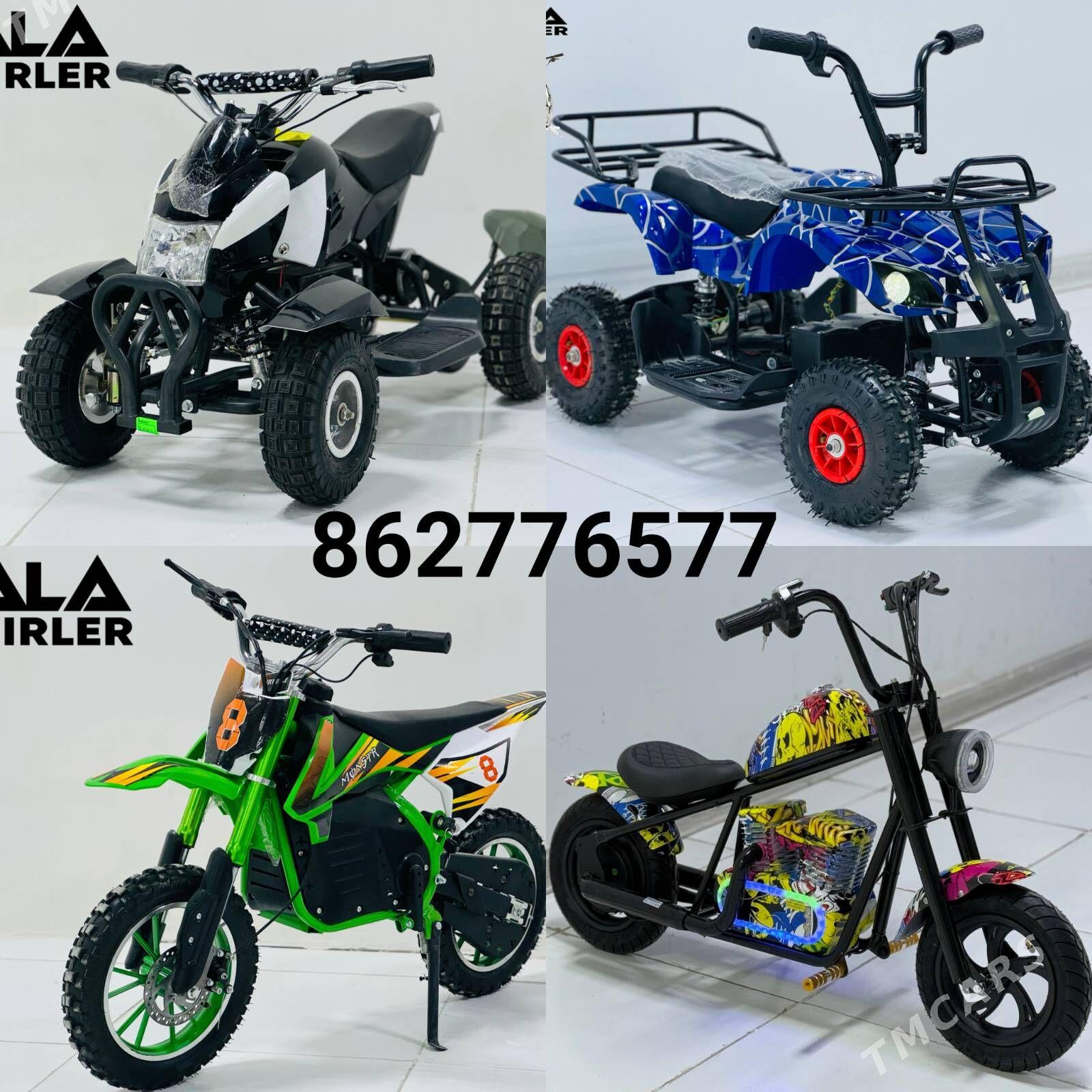 TIGIR MASYN MATOR PARTA KARSOK - Гуртли - img 4