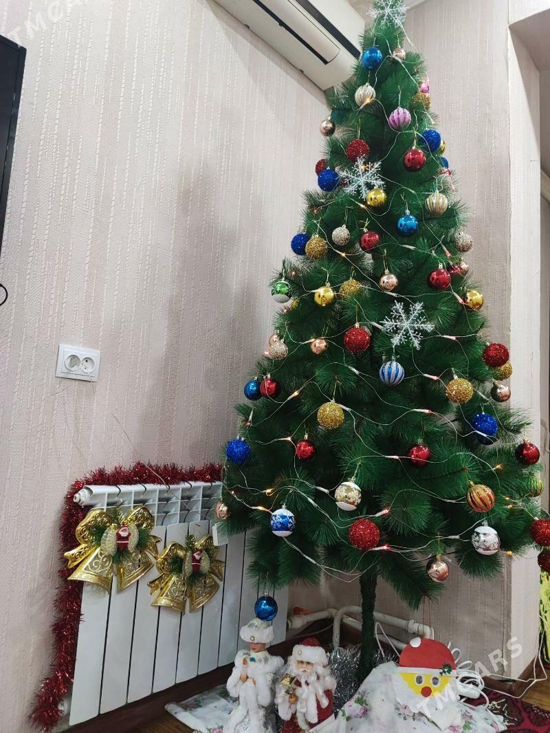 Ёлка yolka - Türkmenabat - img 2