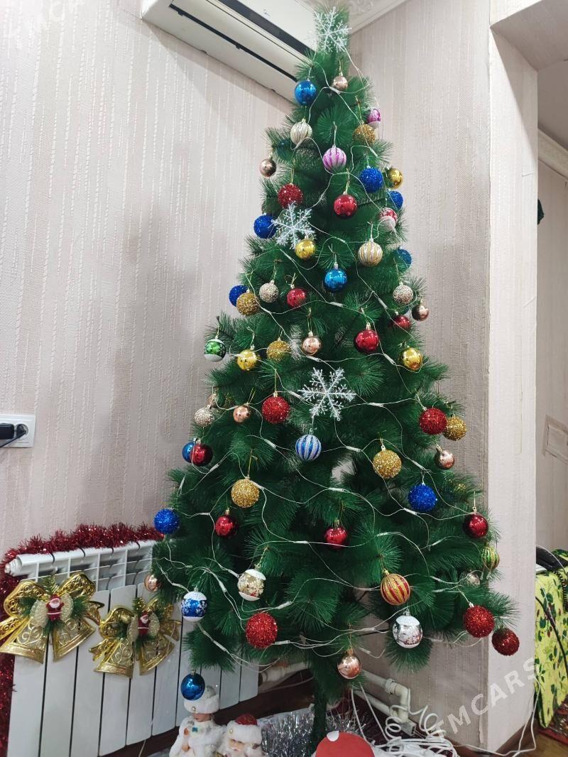 Ёлка yolka - Türkmenabat - img 4