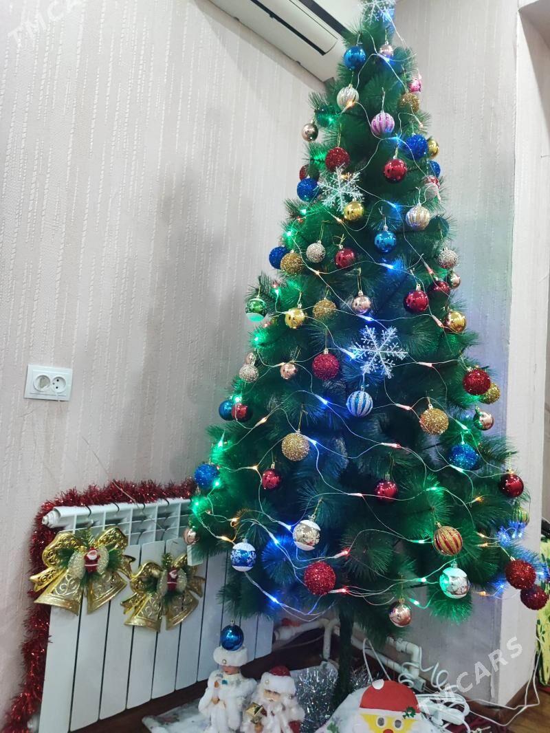 Ёлка yolka - Türkmenabat - img 3