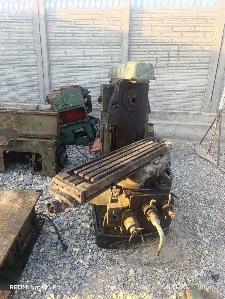 tokur stanok - Mary - img 10