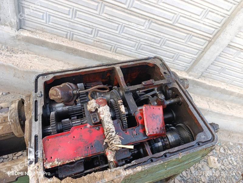 tokur stanok - Mary - img 5