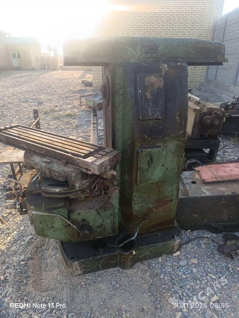 tokur stanok - Mary - img 9