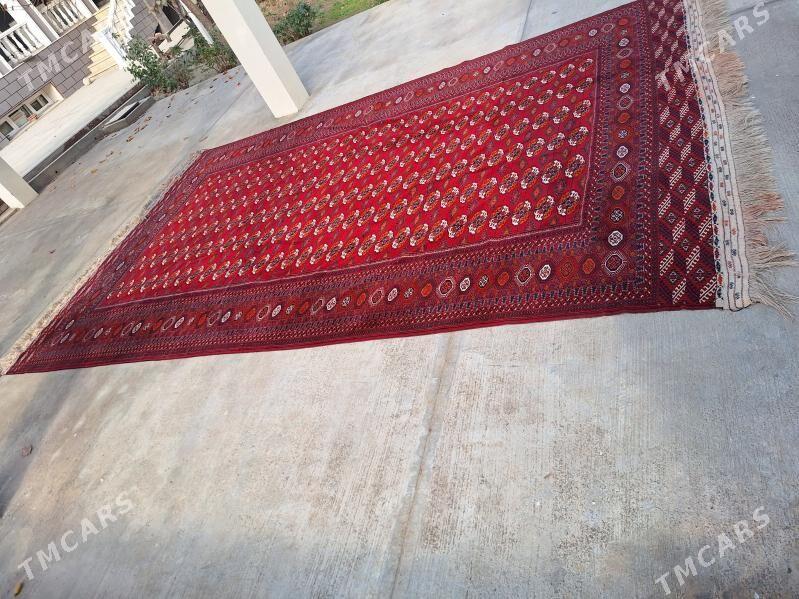 эл халы - Багир - img 3