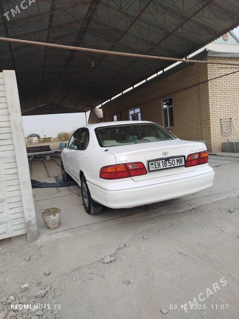 Toyota Avalon 1999 - 120 000 TMT - Sakarçäge - img 7