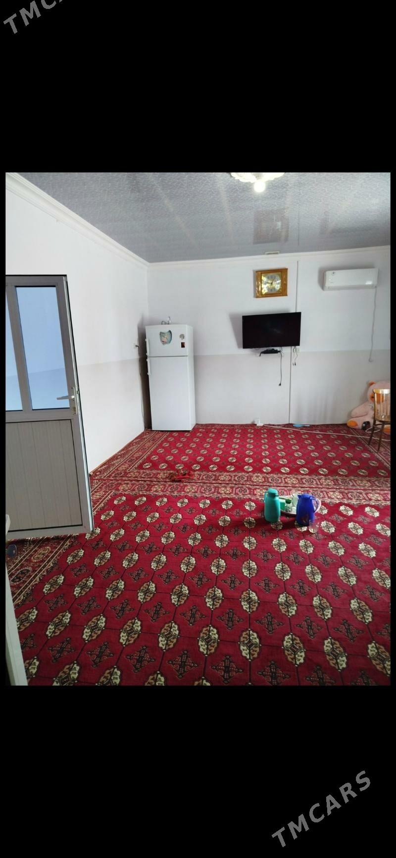 plan jay howly - Bäherden - img 4