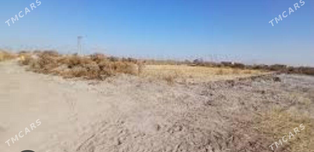 Satlyk Mellek ýer - Кака - img 1