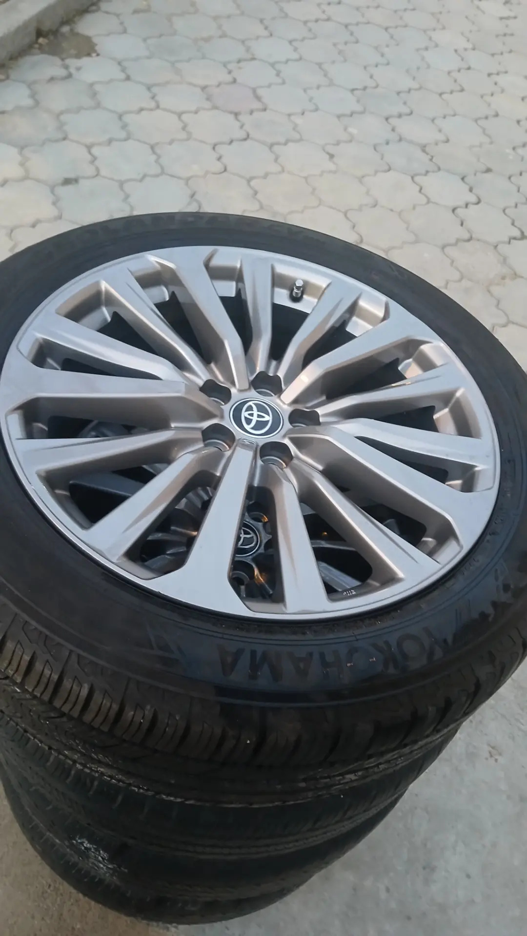 22  Haylandyr  diska 7 900 TMT - Бедев - img 3