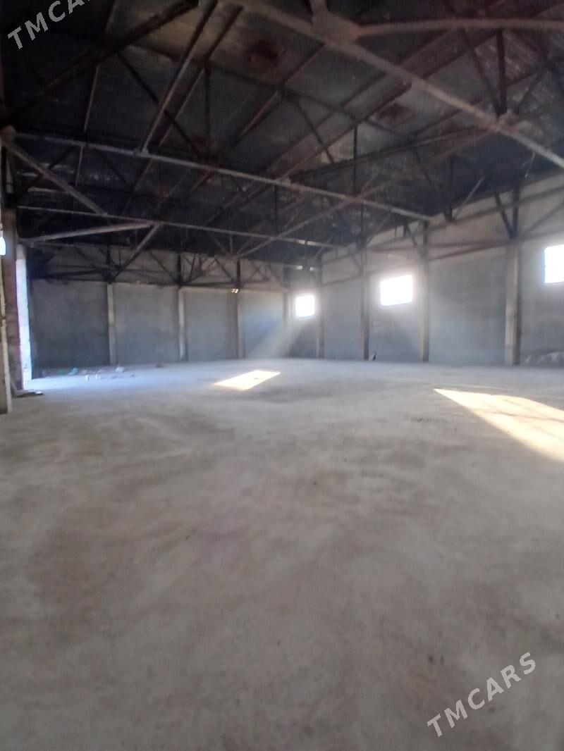 АРЕНДА ГАМИ 1,5 ГЕКТАР - Ашхабад - img 3