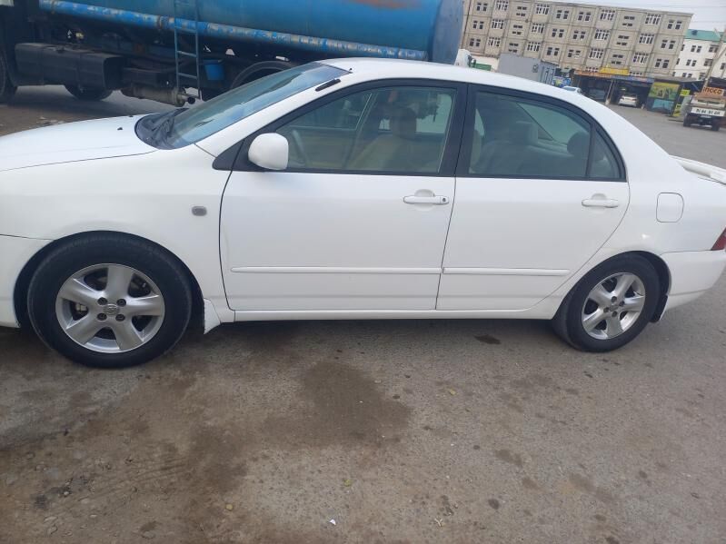 yaris disga 3 100 TMT - Ak bugdaý etraby - img 2