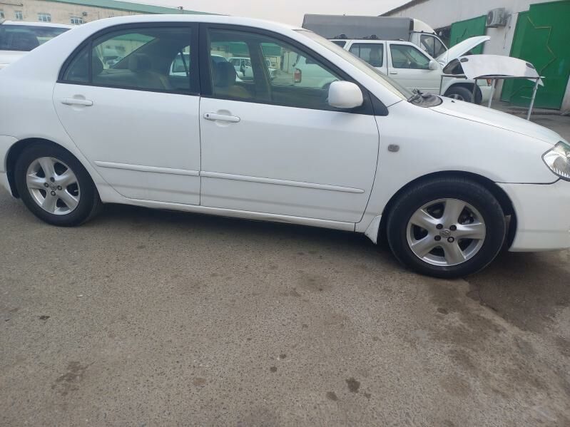 yaris disga 3 100 TMT - Ak bugdaý etraby - img 1