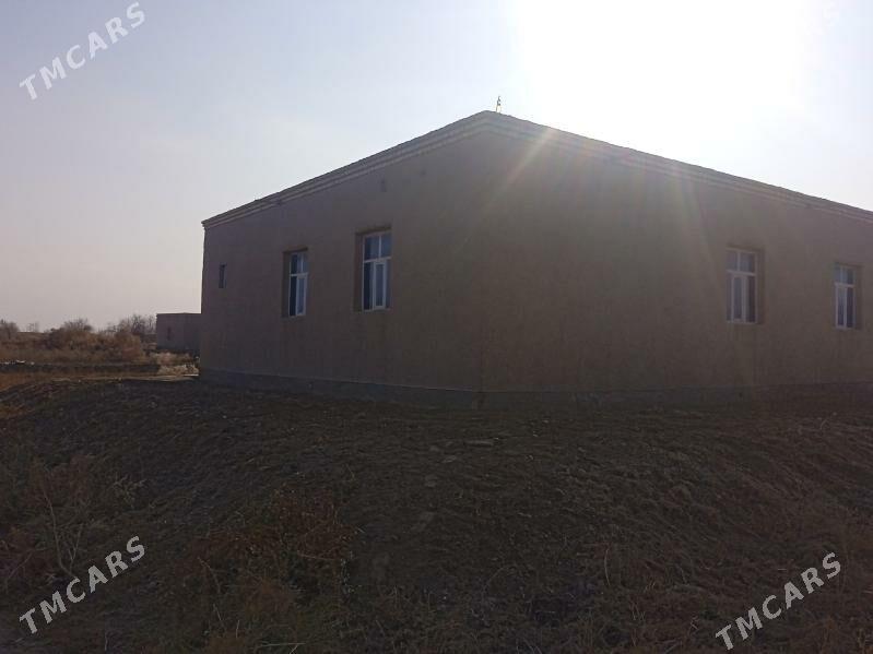 karimarkis - Кёнеургенч - img 1