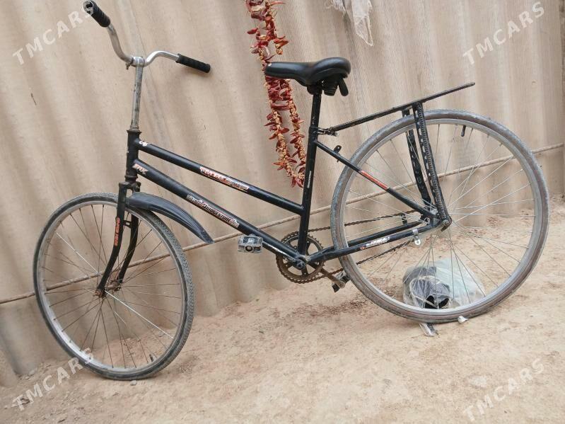 tigir - Яшлык - img 1