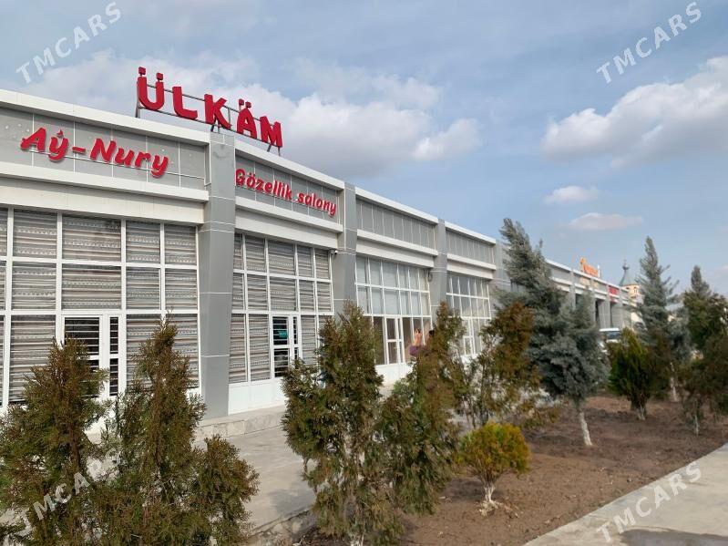 Salona gyz gerek - Türkmenabat - img 5