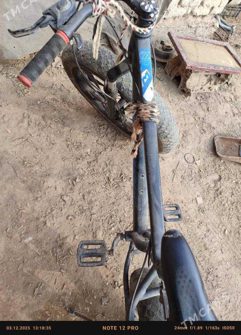 tigir - Gubadag - img 2