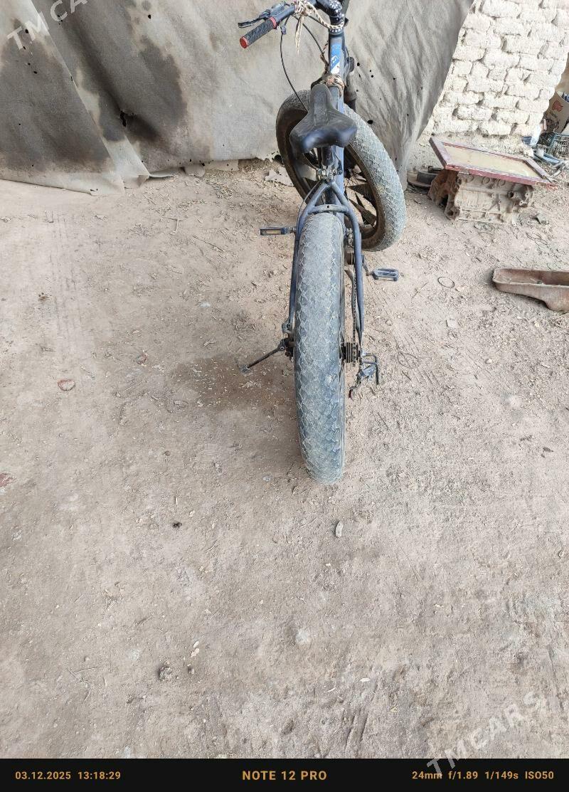 tigir - Gubadag - img 4