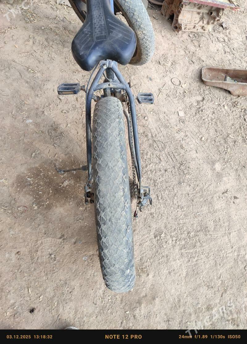 tigir - Gubadag - img 3