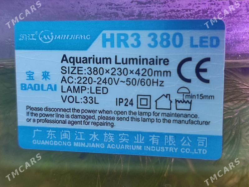 Akwaryum Akwarium - Ашхабад - img 2