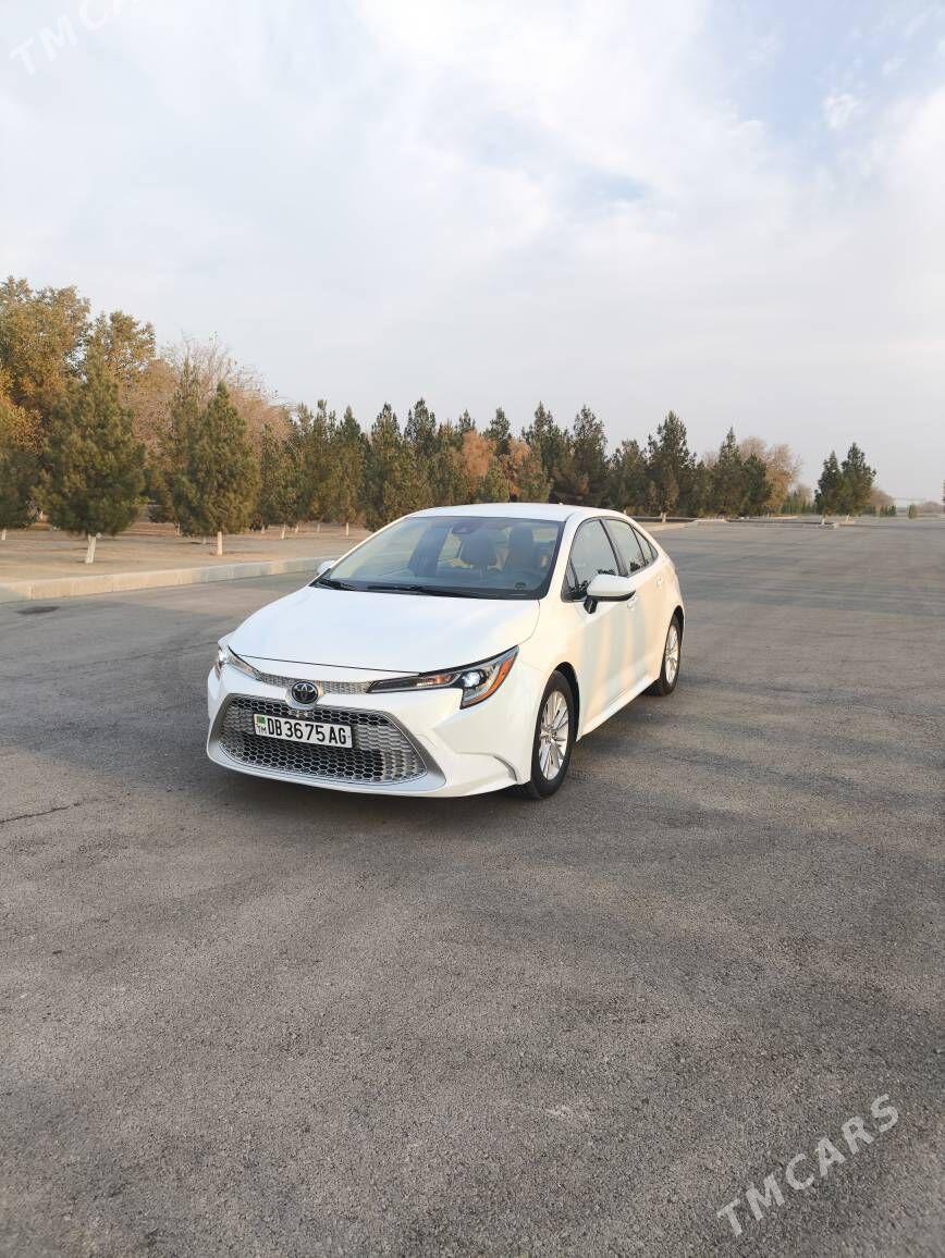 Toyota Corolla 2020 - 240 000 TMT - Бедев - img 2
