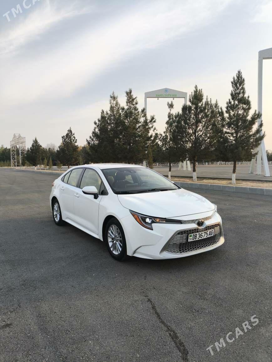 Toyota Corolla 2020 - 240 000 TMT - Бедев - img 1