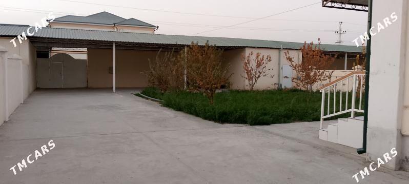   KATEDZH  - Туркменабат - img 5