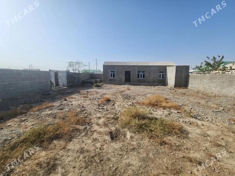 talhanly jay satlyk - Aşgabat - img 4