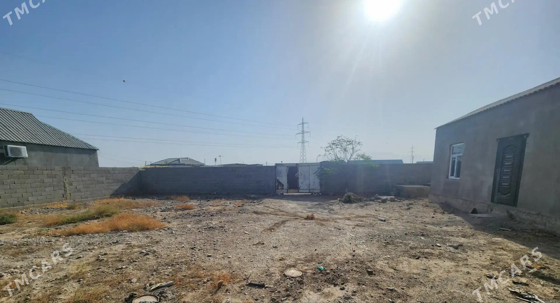 talhanly jay satlyk - Aşgabat - img 2