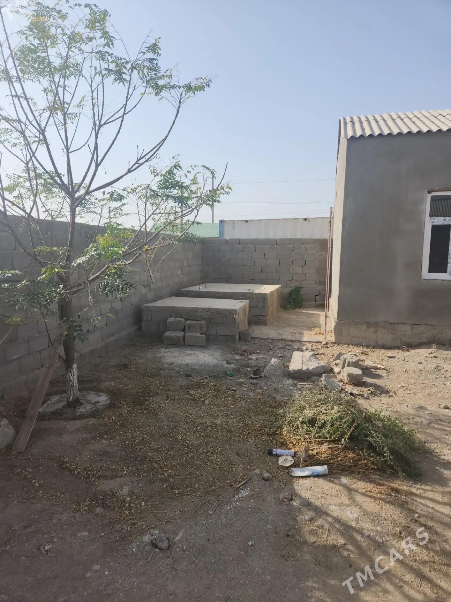 talhanly jay satlyk - Aşgabat - img 3