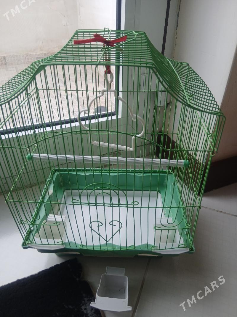 Клетка для попугаев - Туркменбаши - img 2