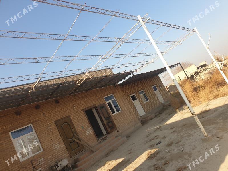 ferma - Туркменабат - img 2