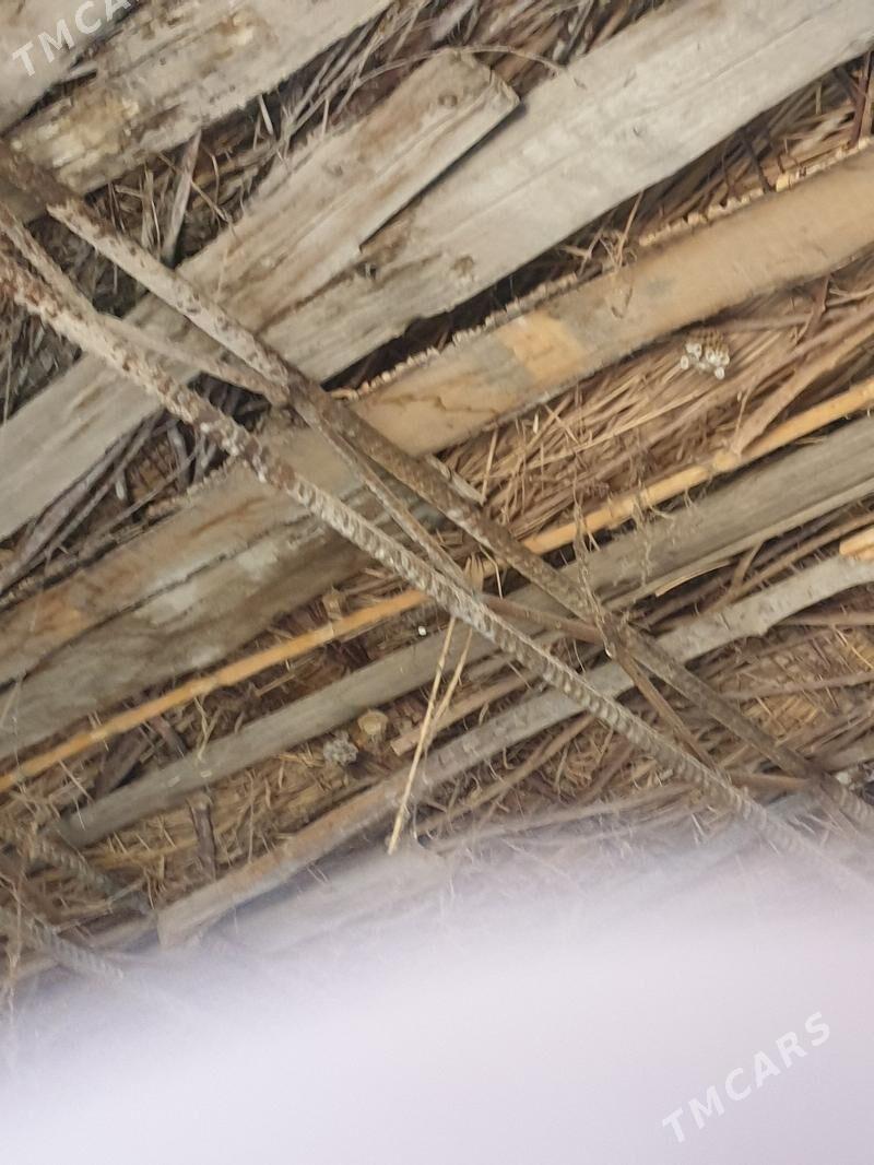 ferma - Туркменабат - img 1