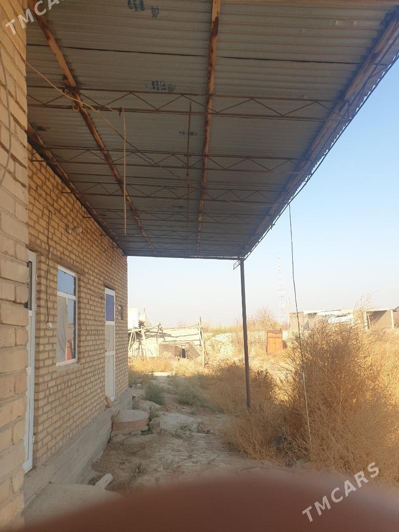 ferma - Туркменабат - img 3