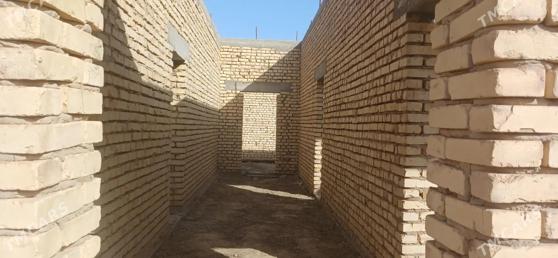 Kaka ucasga - Кака - img 4