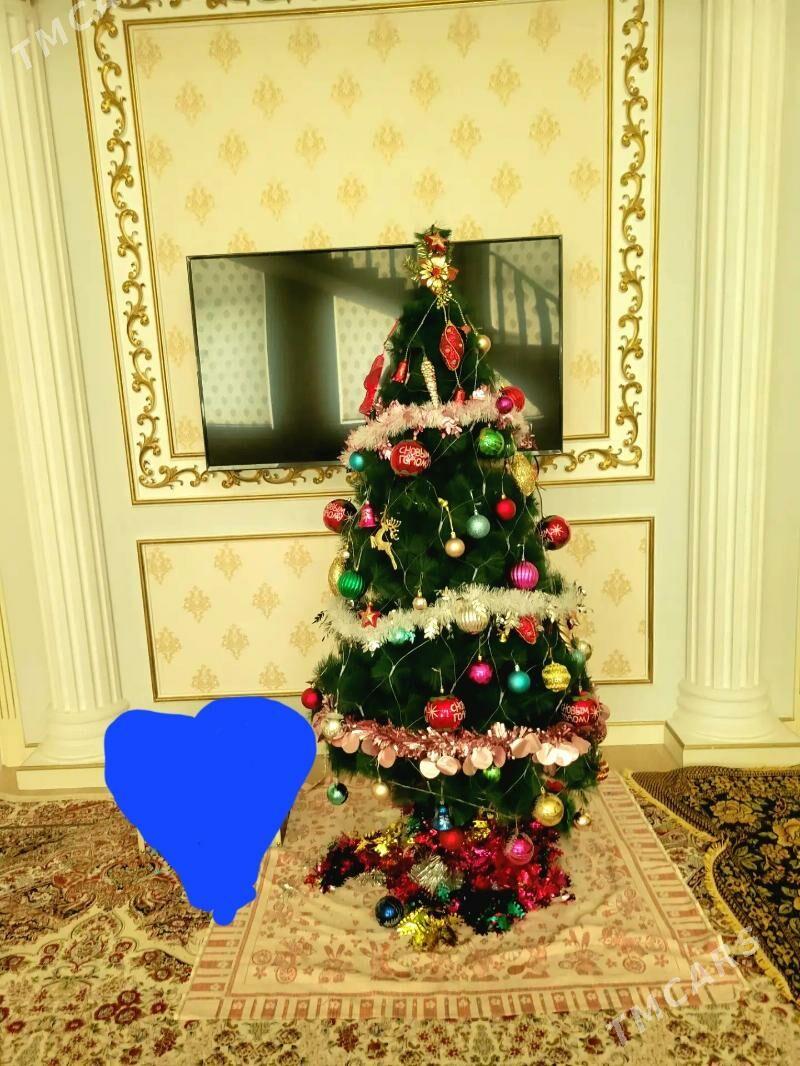 Ёлка - Дашогуз - img 2