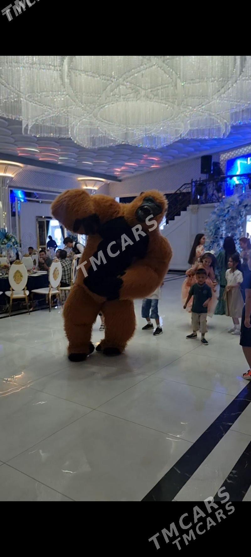 mishka animator - Aşgabat - img 3