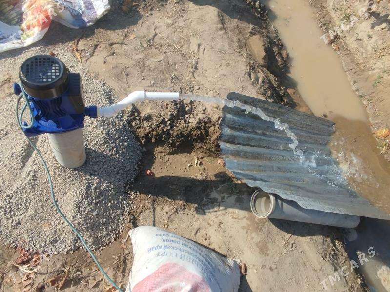 Guýy gazyary - Сакарчага - img 2