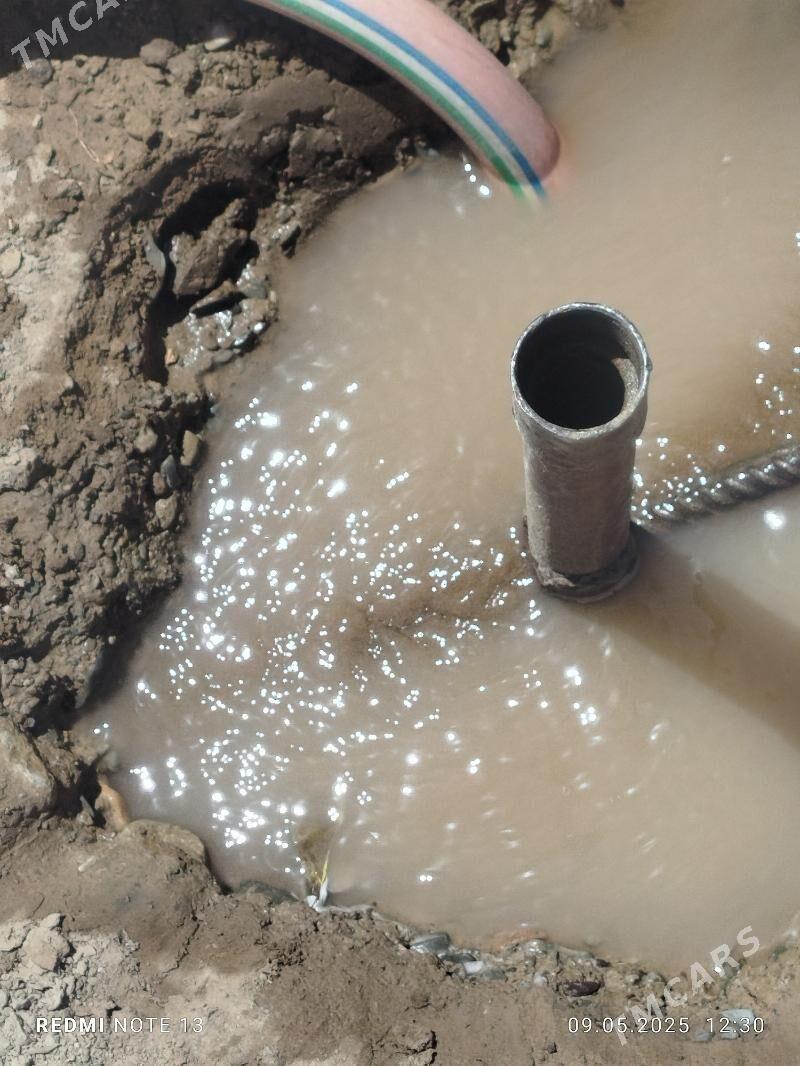 Guýy gazyary - Сакарчага - img 3