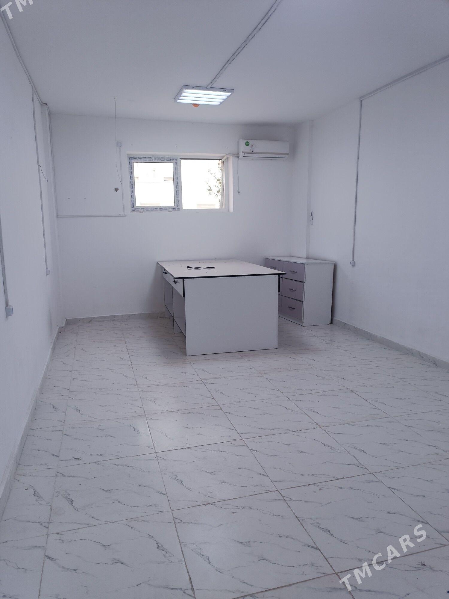 taze gurtly yeri gowy - Gurtly - img 3